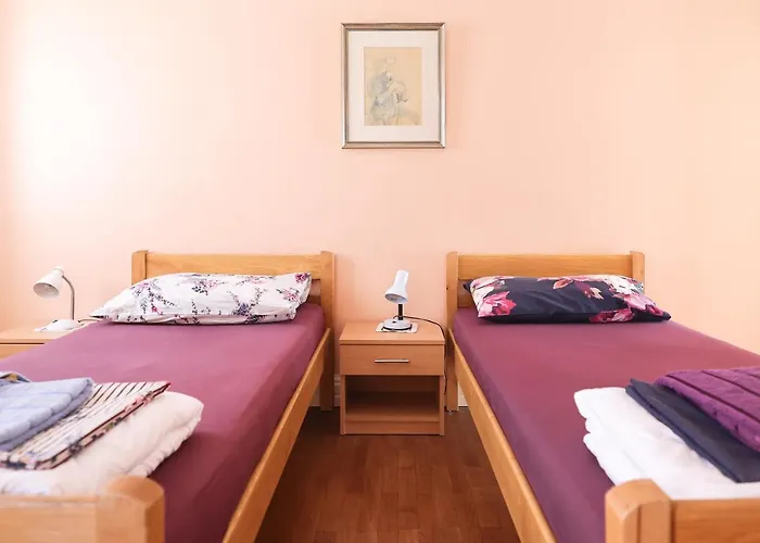 Two Bedroom In Center Igor Zadar